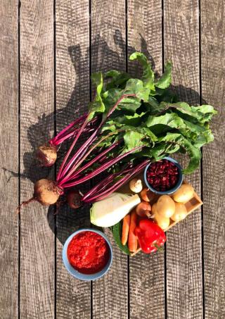Vegetarischer Borschtsch 1