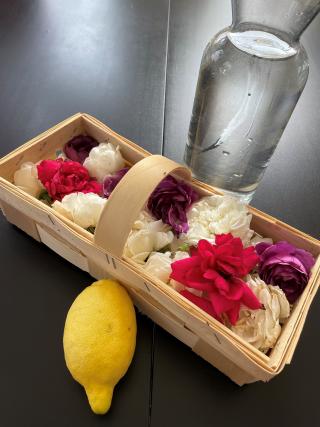 Rosenblütenmarmelade 1